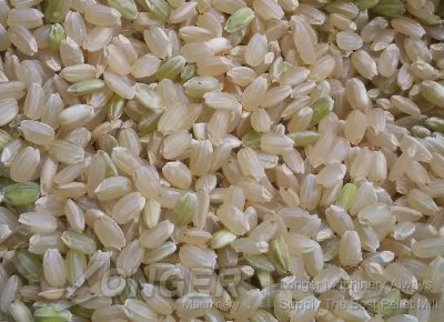 Rice Huller for Hemp Seeds|Buckwheat