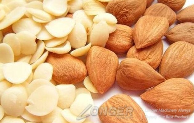 Hot Sale Almond Skin Removing Machine With Factory Price 